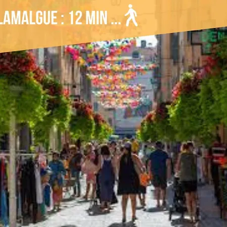 Appartement La Perle Du Mourillon-wifi-spacieux De Gamme *